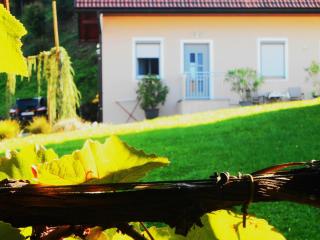 Ferienwohnungen Karin am Seggauberg - 5