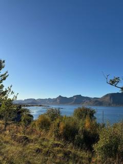 Big, newly renovated, two bedroom apartment - 0