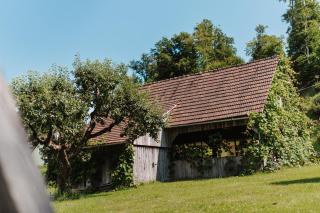 Ferienwohnungen Karin am Seggauberg - 1