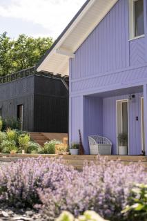 Lawendowa farma Home&Spa - 0