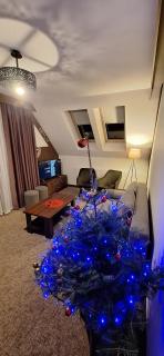 Willa U Kośle 2 - 3