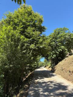 Vivienda turística en plena naturaleza O Poleiro - 1