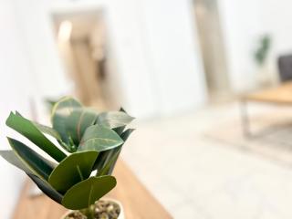 TheWICKI 1703 - Wunderschöne Apartments in Wien - 6