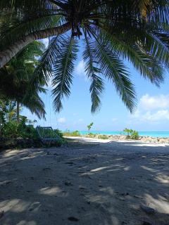 Liquid Leisure Inn - 2