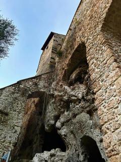 Oasi Francescana il Monastero - 5