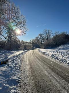 Skogsnära boende i Ludvigsborg - 1