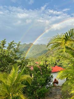 Bellavista La Vega - 7