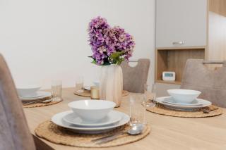 BNB Apartment Pod Vinicou with balcony - 5