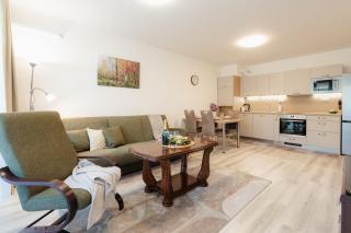 BNB Apartment Pod Vinicou with balcony - 9