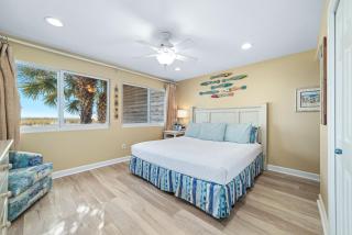 Needle Rush Point Unit C15 - 8