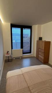 Arena Lake Apartment - VIVO & City w free parking - 7