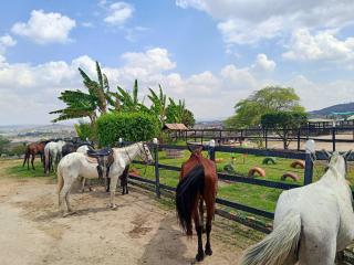 Monte Castelo Flat Temporada - 9