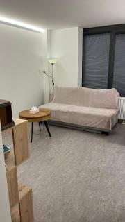 Arena Lake Apartment - VIVO & City w free parking - 5