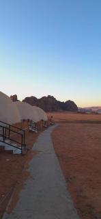 Experience Bedouin life in Wadi Rum - 4