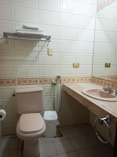 Hotel ASTURIAS BOUTIQUE - 5