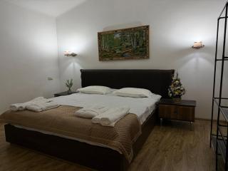 Gori-Modern Private House in the City Center - 2