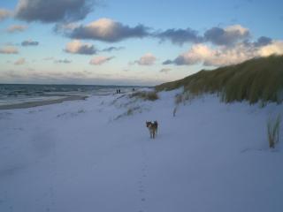 Residenz Lausitz - Apartments für Urlaub mit Hund - 1