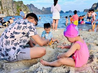 Sao Mai Hotel Hạ Long - Hạ Long - 8