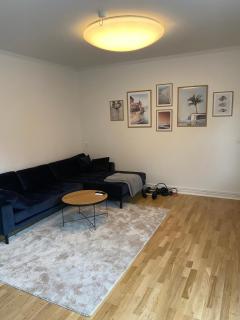 Lovely apartment in Vejle C - 1