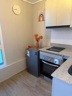 Apartamento Moderno con Vista al Parque OHiggins - 1