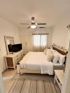 ocean view tropical - 7