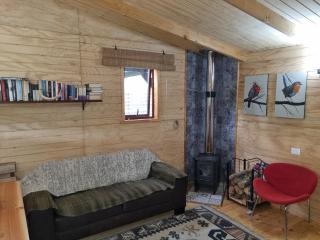 Acojedora Cabaña en el Sur Panguipulli - 1