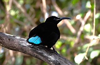 Bellthorpe Stays - 5