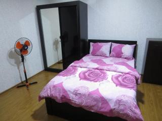 Lana Apartment - Tbilisi - 1
