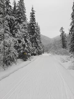 1st Chair Mountain Resort - 3