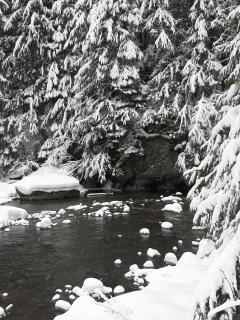 1st Chair Mountain Resort - 4