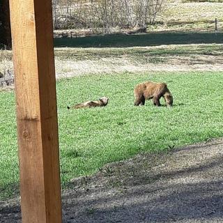 1st Chair Mountain Resort - 2