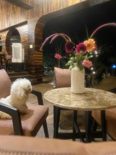 Lake Hill Farm Tà Đùng - 5