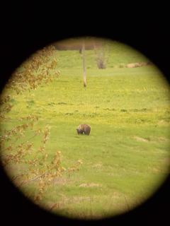 1st Chair Mountain Resort - 1