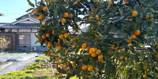 霧の工坊 Kiri no Kōbō - Entire House with Breakfast - 5