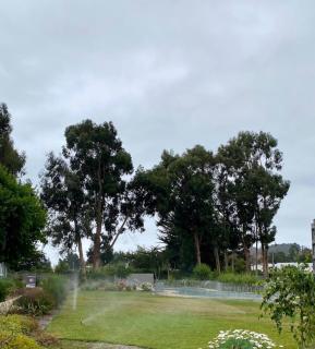 Confortable departamento, full equipado, a 10 min de hermosas playas caminando por el lindo Paseo puyai - 2