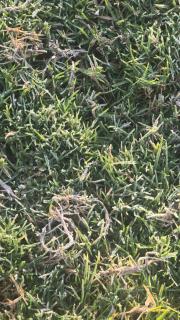 Silver lake nature escape - 2