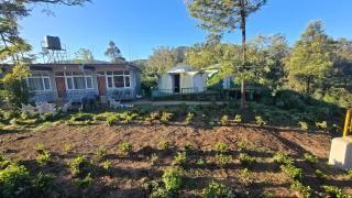 Silver lake nature escape - 1