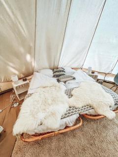 POLE POLE - Ijsbeer - 2