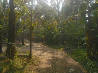 Rohini Homestay - 8