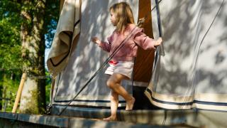 POLE POLE - Ijsbeer - 7