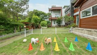 Gapyeong Areuno Pet Pension - 7