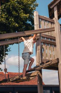 POLE POLE - Ijsbeer - 2