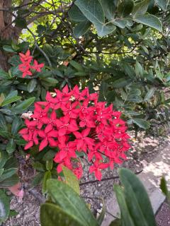 Apartment Salsa PrincessBreeze - La Privada - 7