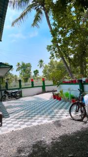 Bougainvillea stays - 7