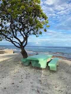 Punahere lodge Ohotu - 8