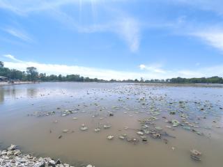 Country Charm on the Sandusky Live Music Nearby - 5