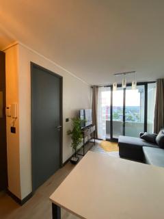 Arriendo departamento nuevo - 7