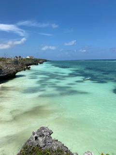 baobab Africa zanzibar - 7