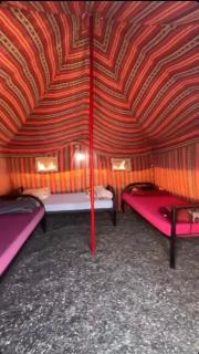 ولاية بدية - 4