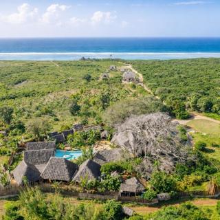 baobab Africa zanzibar - 8